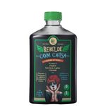 -Shampoo-Lola-Cosmetics-Rebelde-Com-Causa-250ml