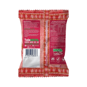 Pastilhas Valda Friends Canela Sem Açúcar 25g