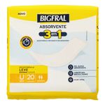 1083548.absorvente-geriatrico-bigfral-3-em-1-Unissex-Leve-20-unidades